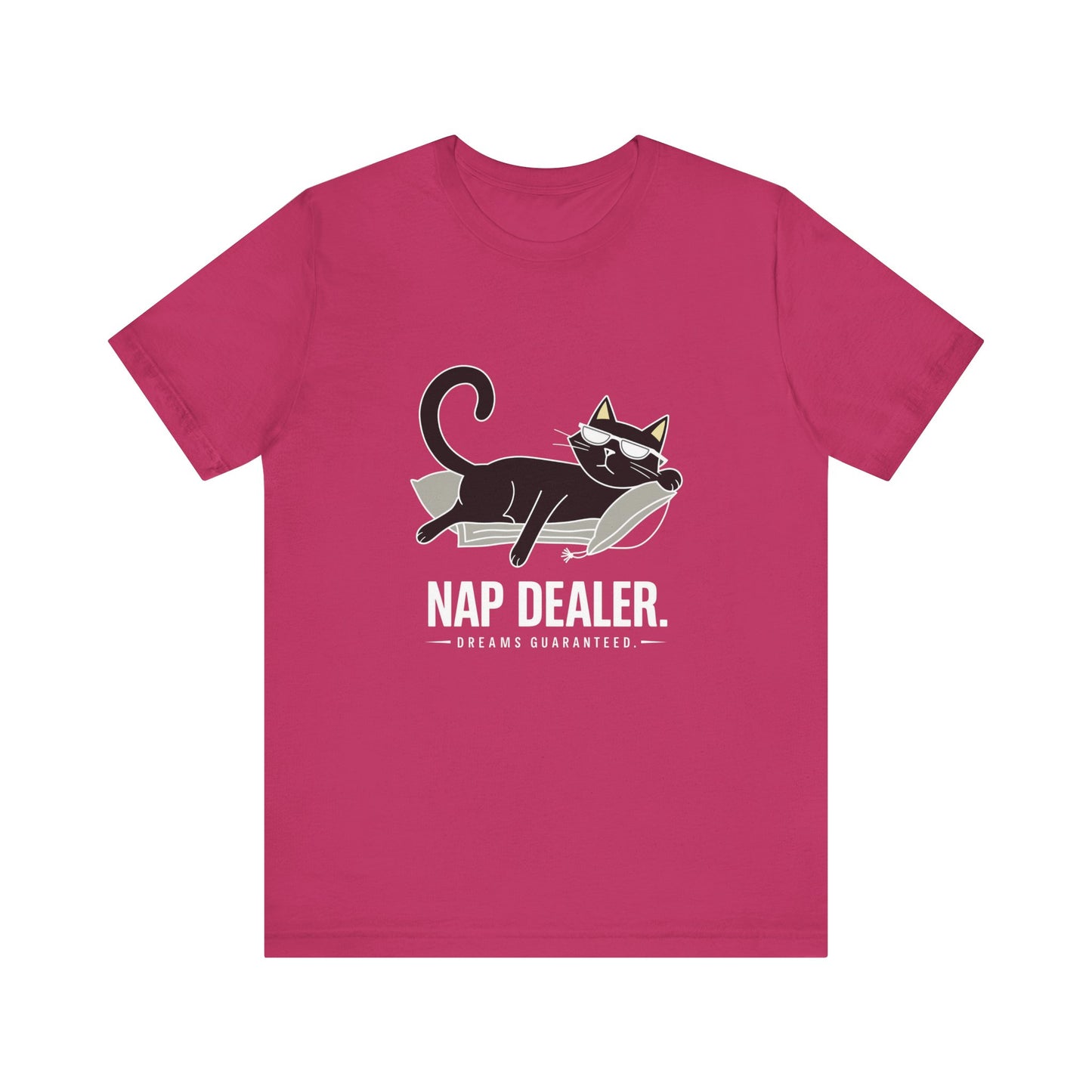 Cozy Cat Nap T-Shirt | Cute Cat Lover Tee, Perfect Gift for Cat Owners, Relaxed Fit Casual Wear, Animal Lovers Gift, Funny Cat Shirt
