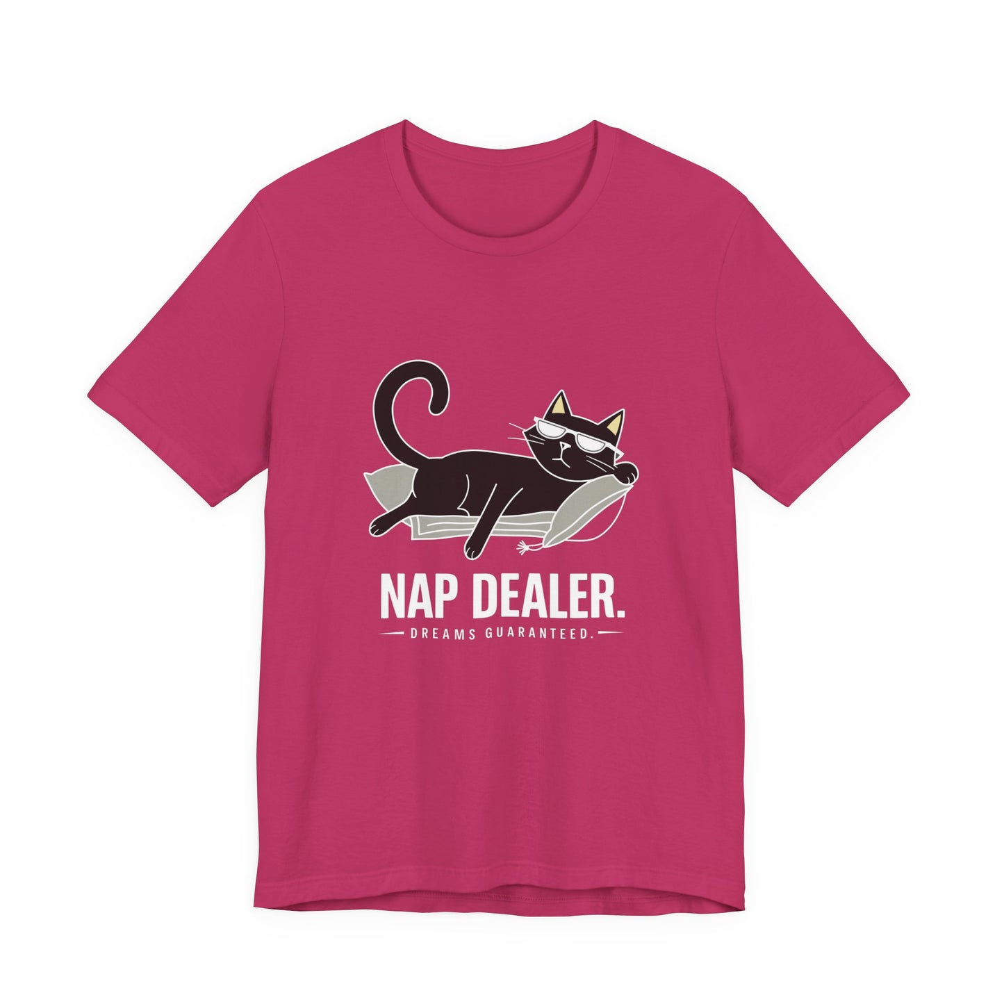Cozy Cat Nap T-Shirt | Cute Cat Lover Tee, Perfect Gift for Cat Owners, Relaxed Fit Casual Wear, Animal Lovers Gift, Funny Cat Shirt